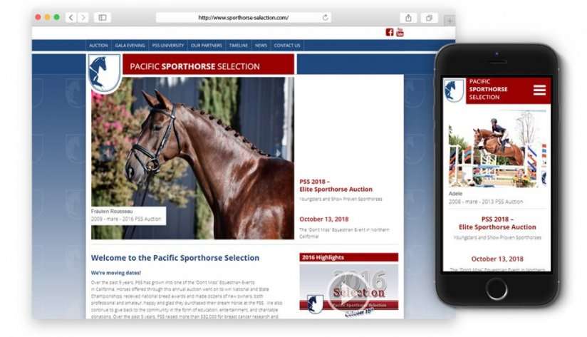 Responsives Internetportal der jährlichen Sportpferde-Auktion in Vacaville, California.
