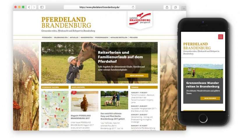 Responsive Website des "Pferdeland Brandenburg" von pro agro e.V.
