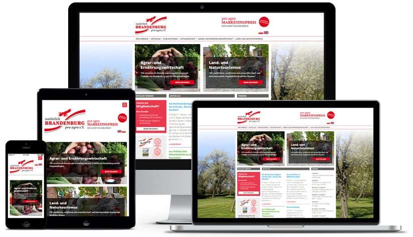 Responive Web-Konzept für pro agro.