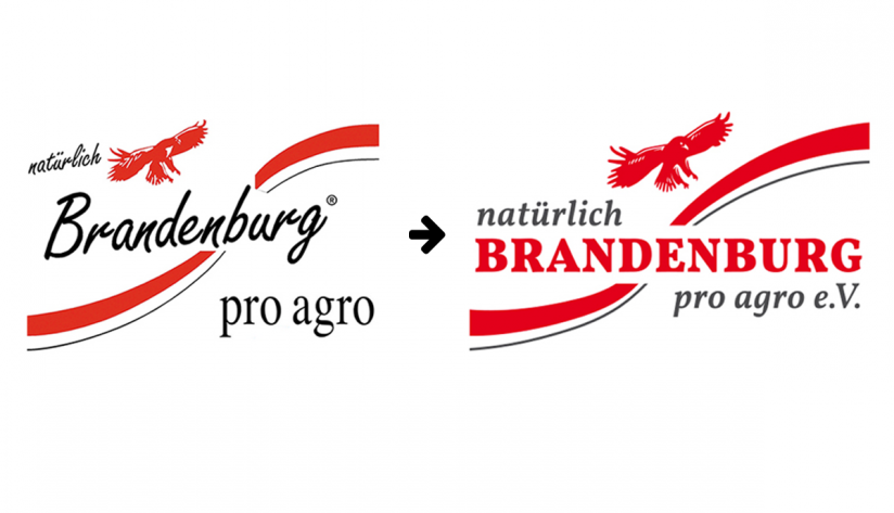 Logo Entwicklung